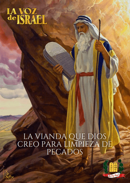 Revista de Prédica - La Ley Real - Aeminpu Lima